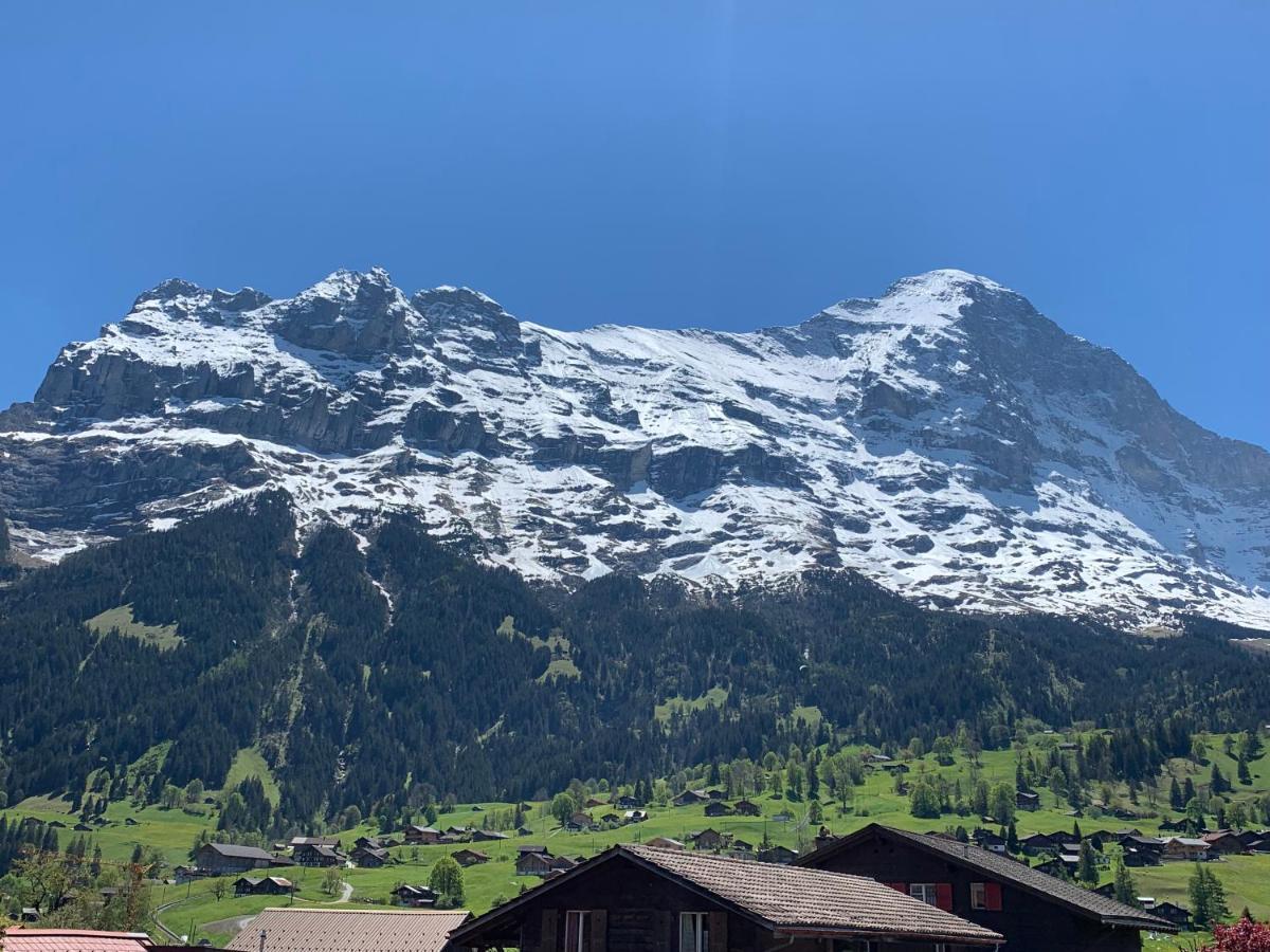 Fluehblueemli Leilighet Grindelwald Eksteriør bilde