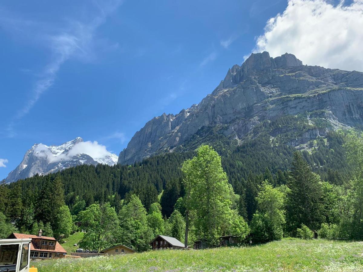 Fluehblueemli Leilighet Grindelwald Eksteriør bilde