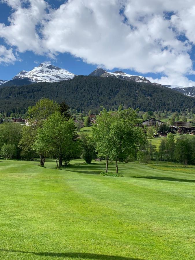 Fluehblueemli Leilighet Grindelwald Eksteriør bilde